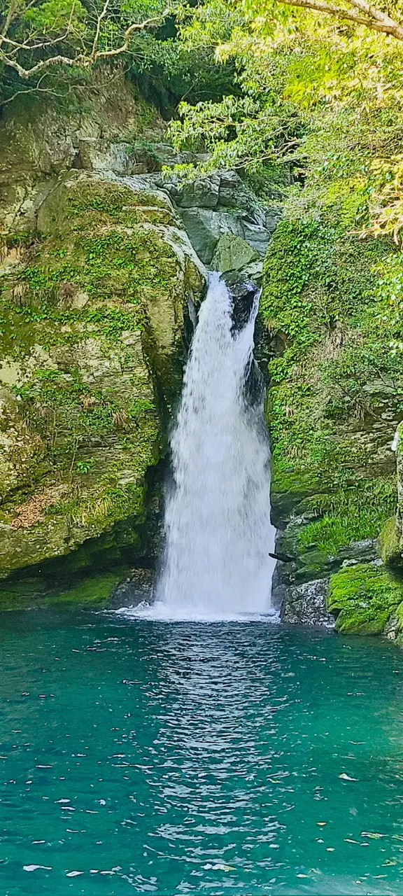 奇跡の清流（高知・仁淀川）へ、仁淀ブルーの画像_12