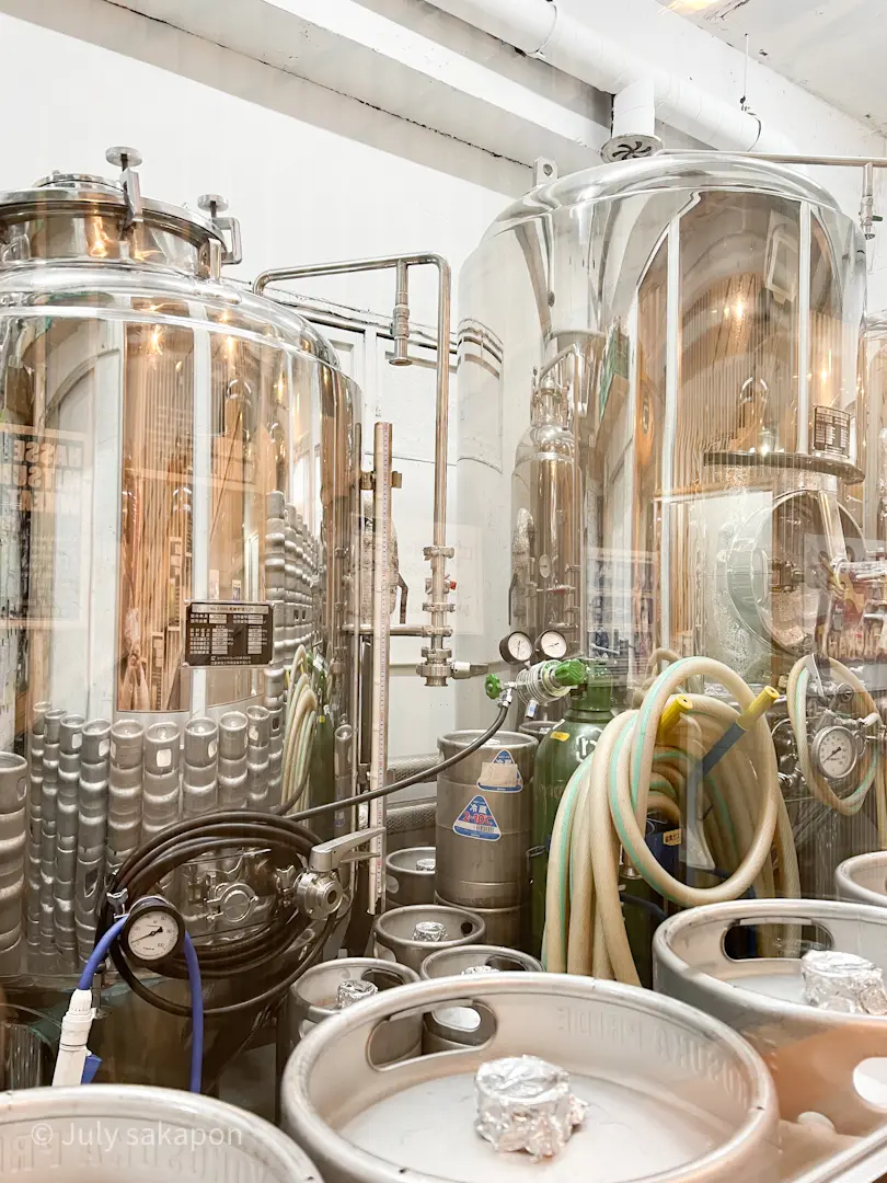 【さかぽんの冒険】後編☆横須賀きっぷの旅の画像_16