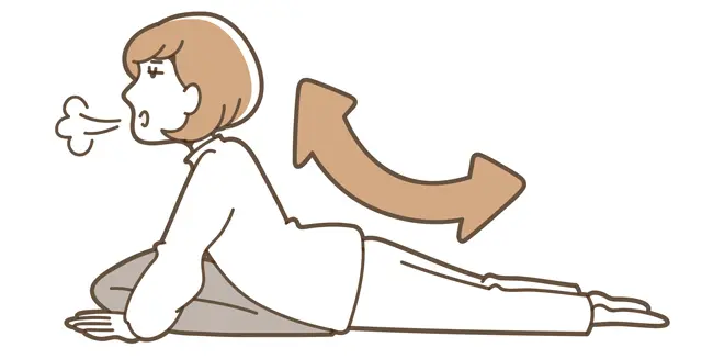 肘を伸ばし、おへそを床につけた状態で痛気持ちいいところまで反らせる