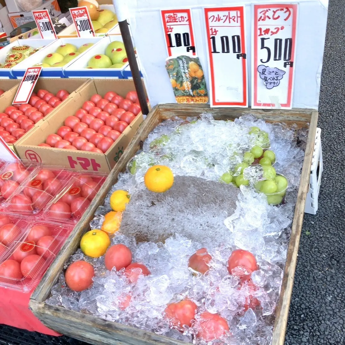 高知やき！ 盛り沢山な大人女子旅になったの画像_2