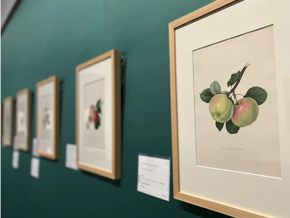 グレーワンピでボタニカルアート展❤︎の画像_4