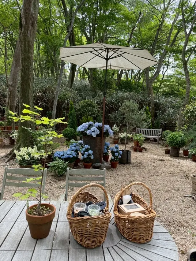 箱根⭐︎心を満たす大人女子4人旅の画像_7