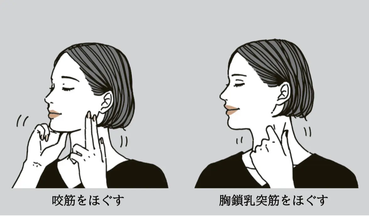 50代　歯ぎしり　対策　あごの筋肉やこめかみの緊張をほぐす　簡単マッサージ　イメージイラスト