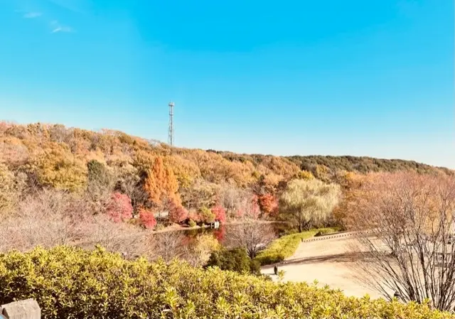 横浜動物園ズーラシアの画像_7