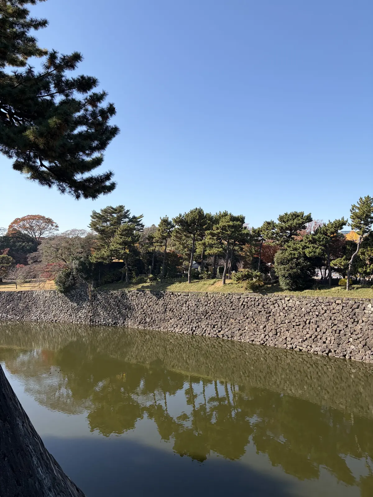 東御苑に入る北桔梗門