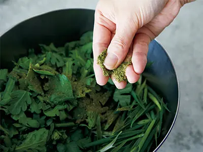 香りとほろ苦さを楽しむ！ 春菊とねぎの山の画像_2