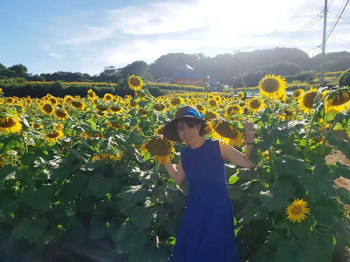 私の顔の大きさくらいある立派なひまわり。