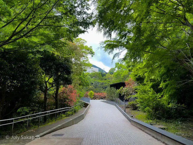 【さかぽんの冒険】本と温泉旅@湯河原惣湯の画像_9