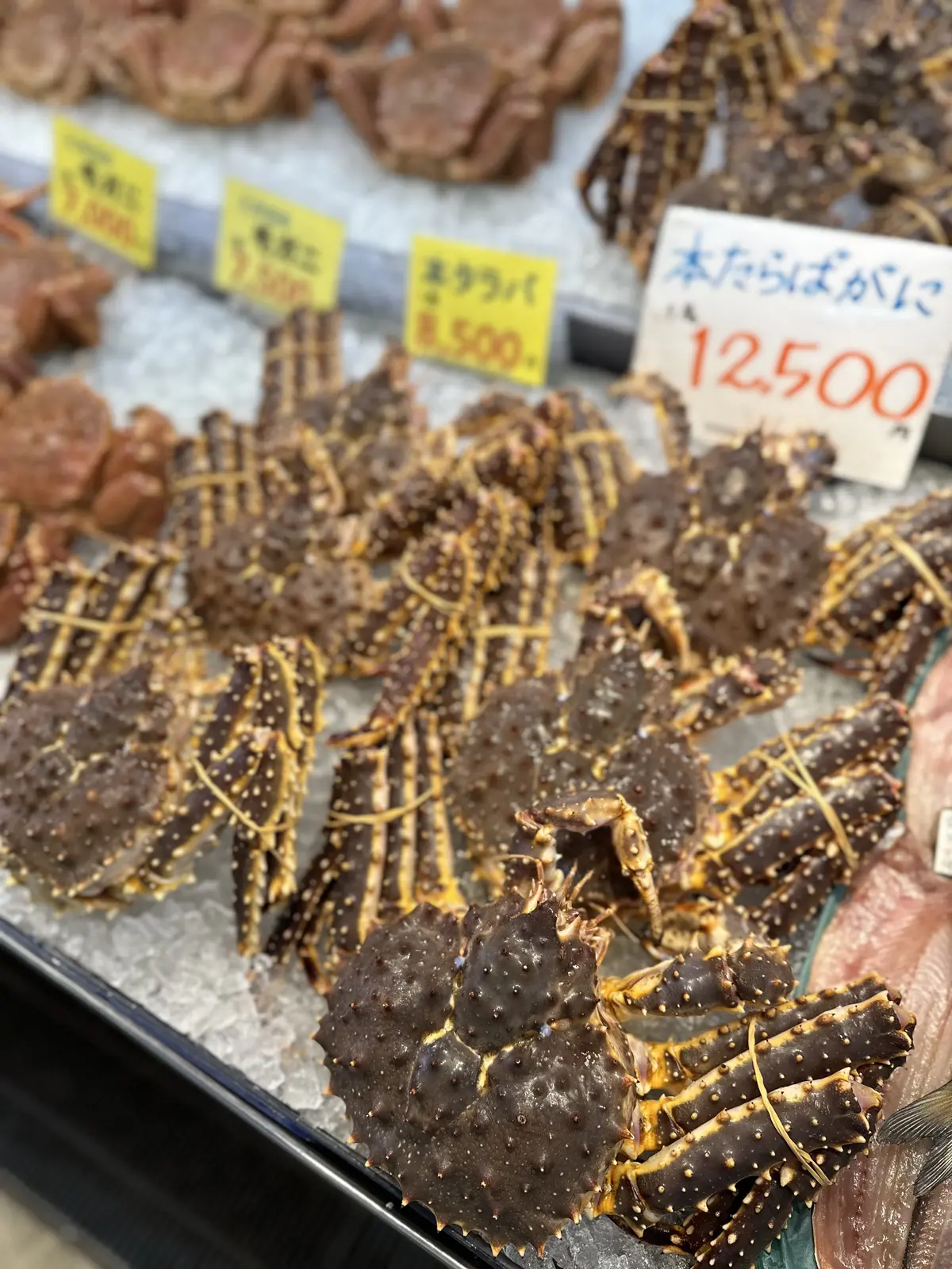 母娘で旅する紅葉の函館の画像_11