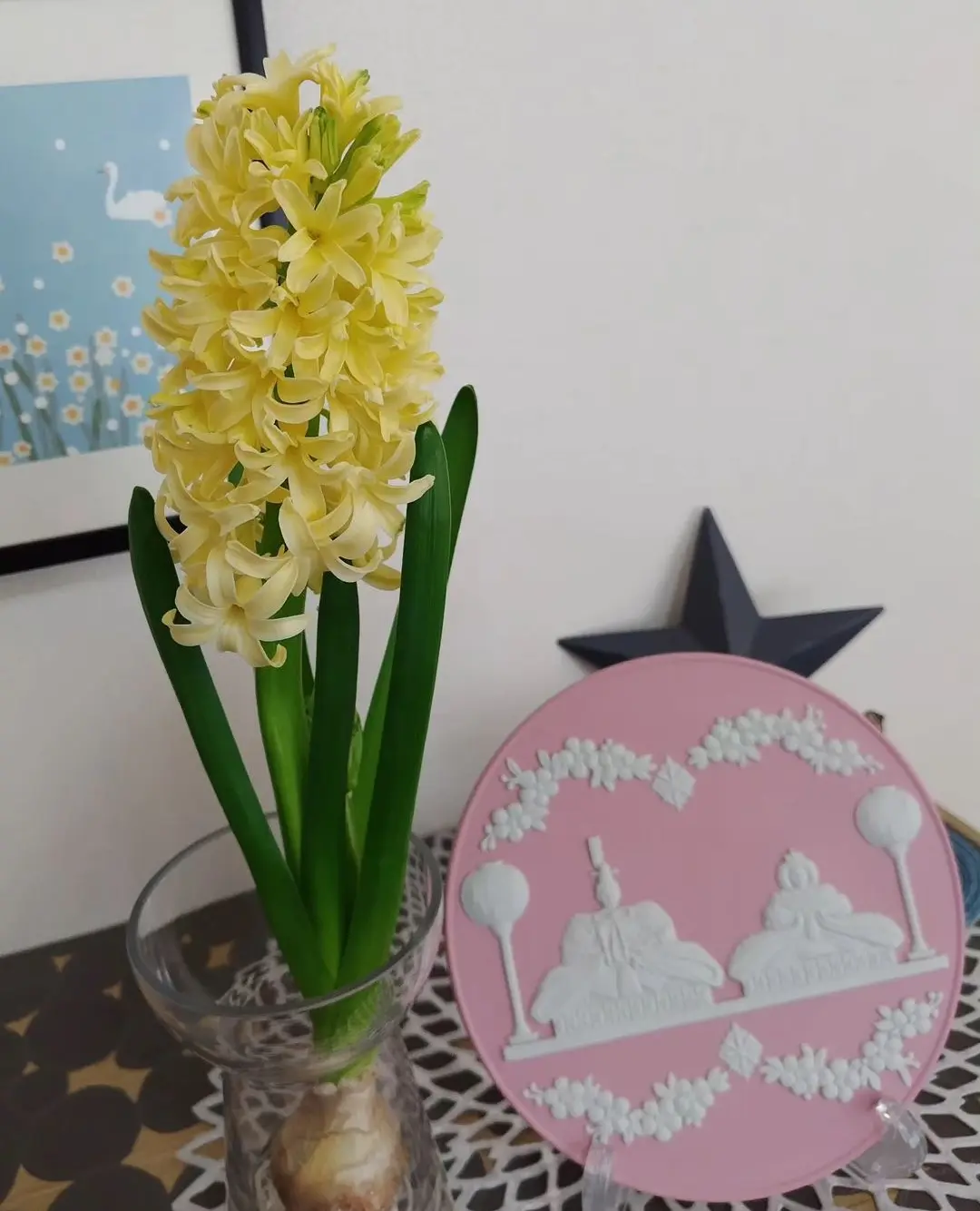 ヒヤシンス　水耕栽培　Wedgwood　雛ドールプレート　チルウィッチ