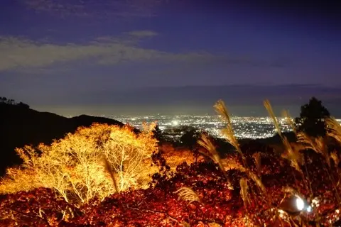 想像以上の絶景に出会えた神奈川の紅葉の見の画像_4