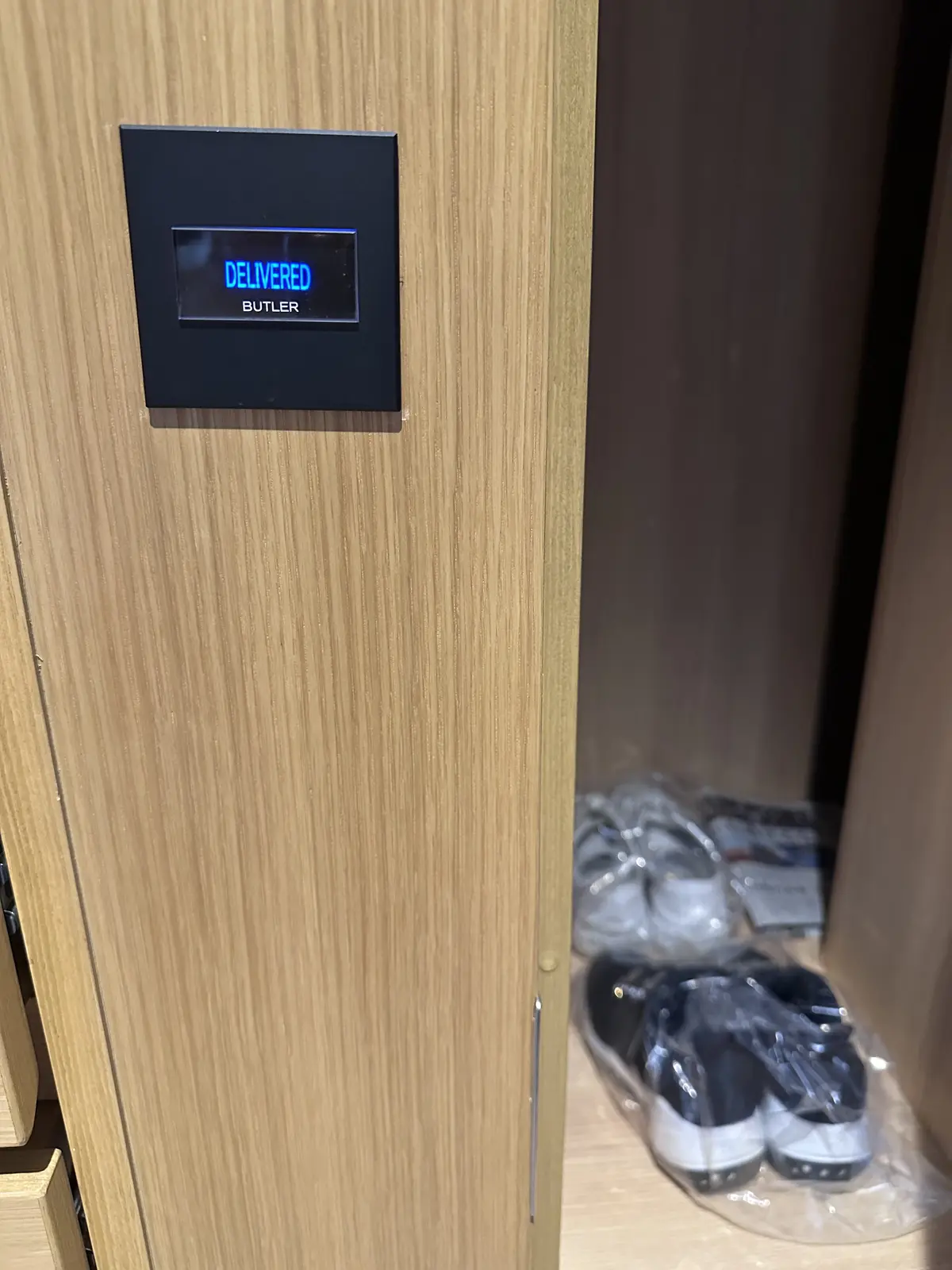 AP BANK フェスへ行ってきましたの画像_6