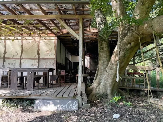 ゆっくりと時間が流れる癒やしのカフェへ♡の画像_2