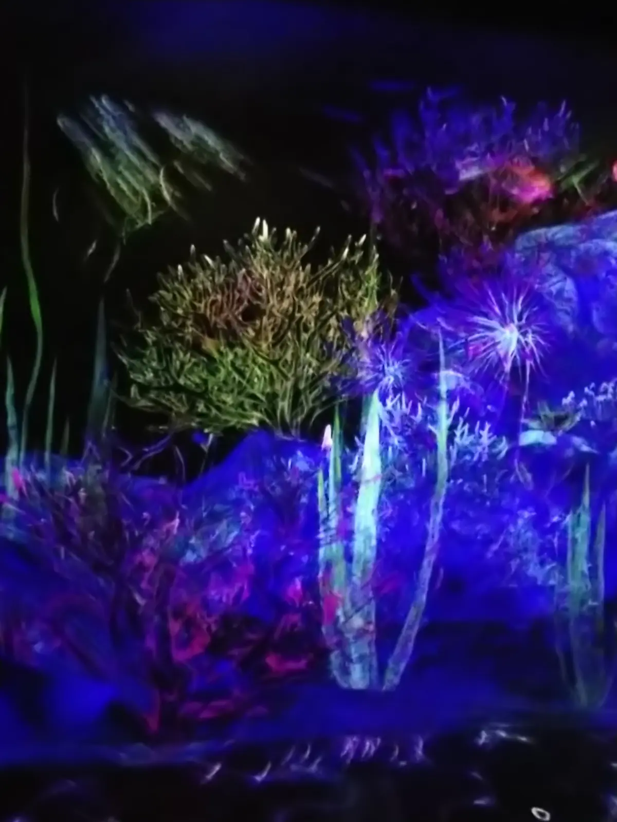 夏の日帰り旅♡早朝出発、深夜帰宅で広島かの画像_2