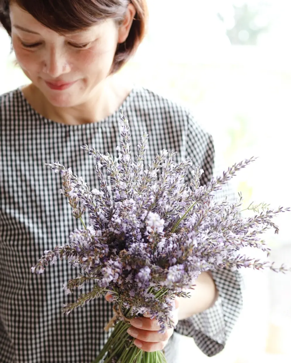 庭のラベンダーが咲きだしました～の画像_1