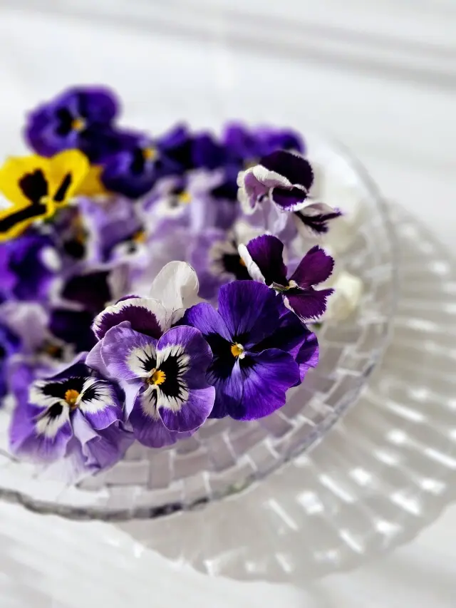 朝の花がら摘みの画像_1