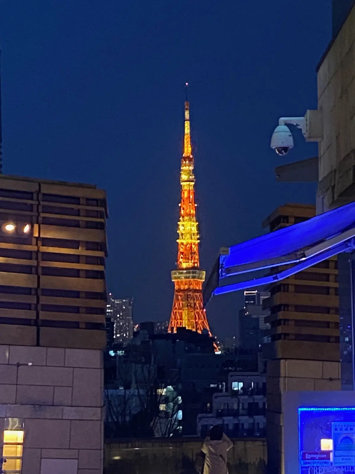 息子と甥っ子の成人を祝って〜偏愛ボウタイの画像_13