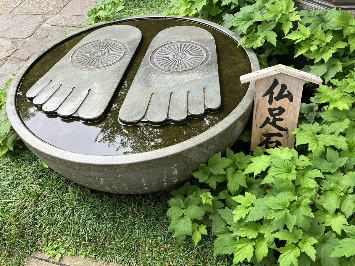 鎌倉紫陽花ツアーへの画像_11