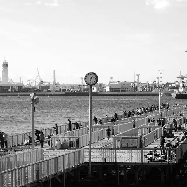 女性にも人気上昇中。 自分で釣った魚の味は格別！