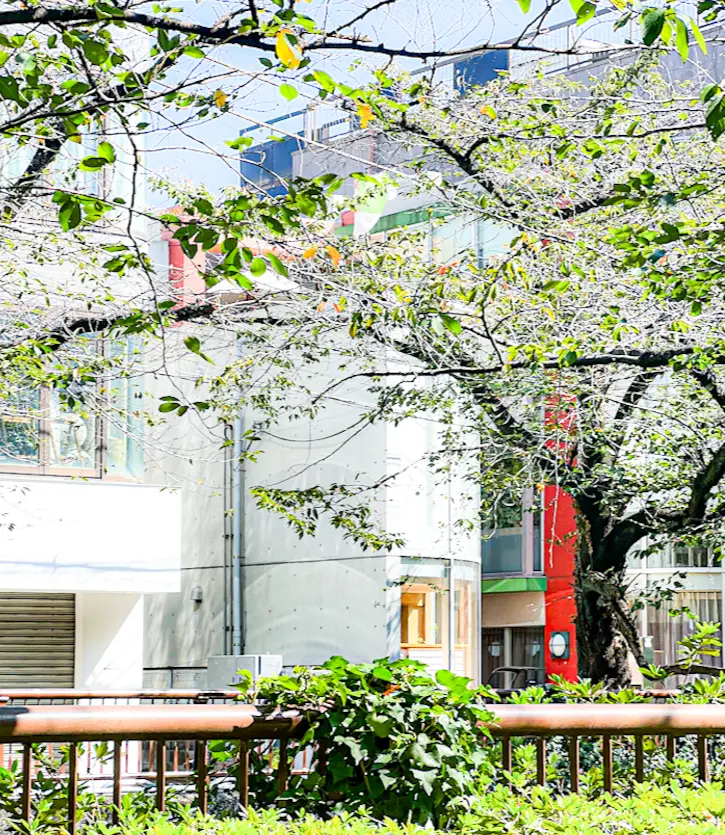 【東京デート】ローズ🌹香るアフタヌーンテの画像_1