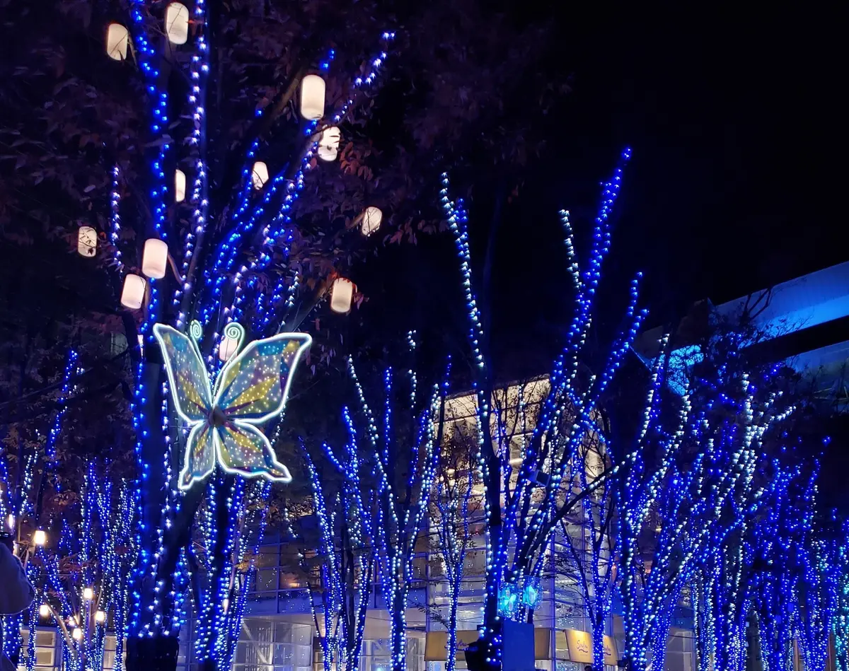 イルミネーション