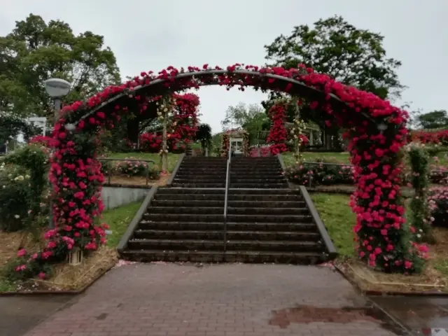 赤いバラのアーチ