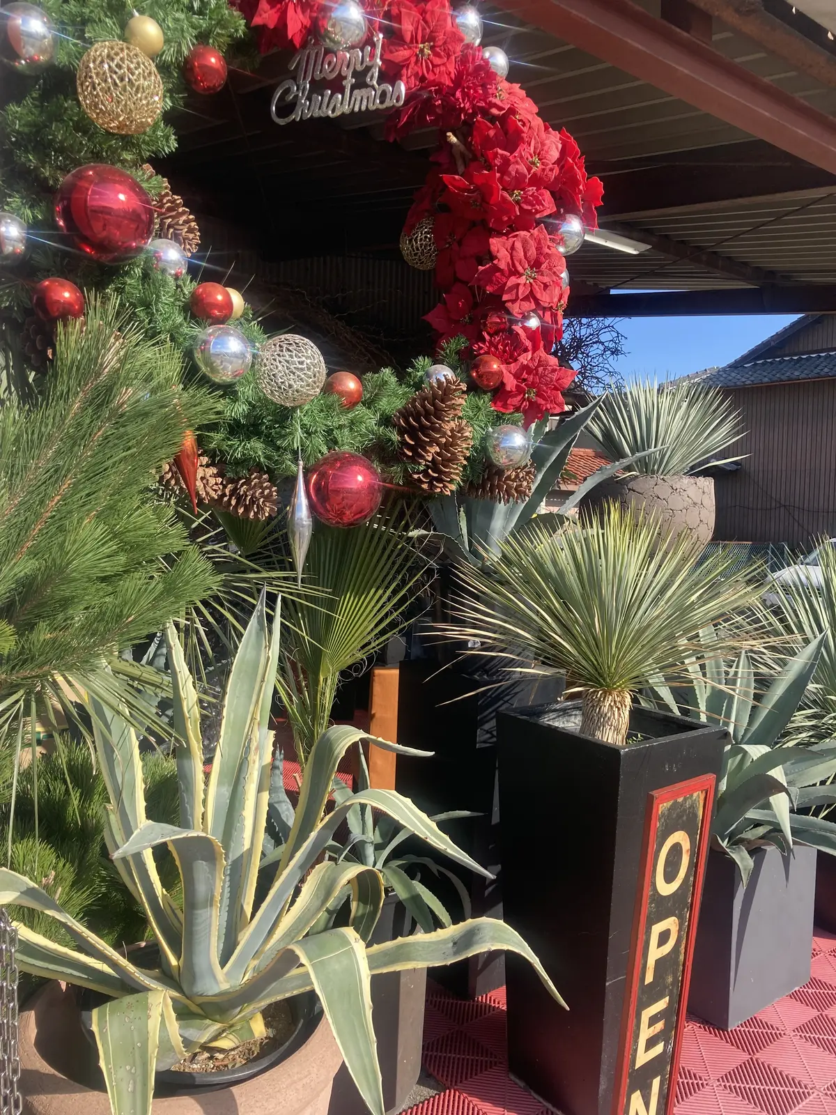 プチ・クリスマス気分を味わいに出かけましの画像_1