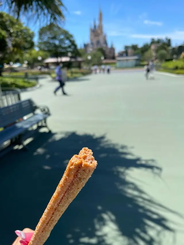 ここ最近のディズニーランドの画像_1