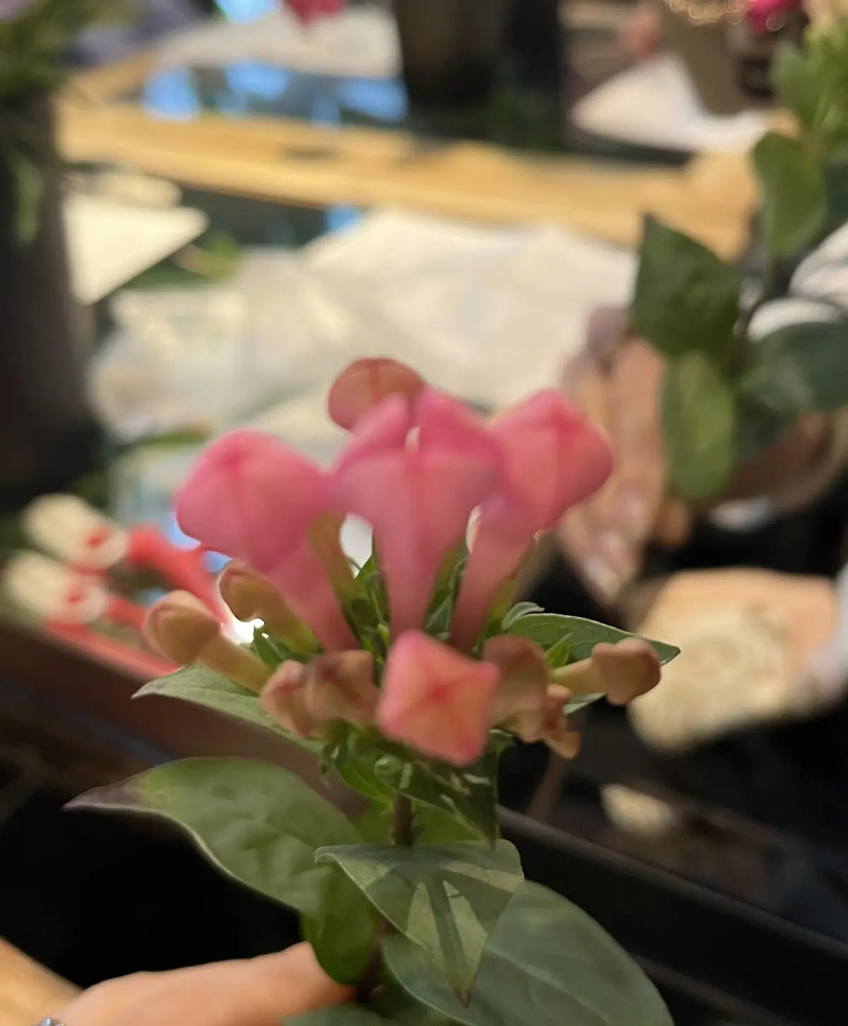 ラナンキュラスのブーケレッスン＆アフタヌの画像_9