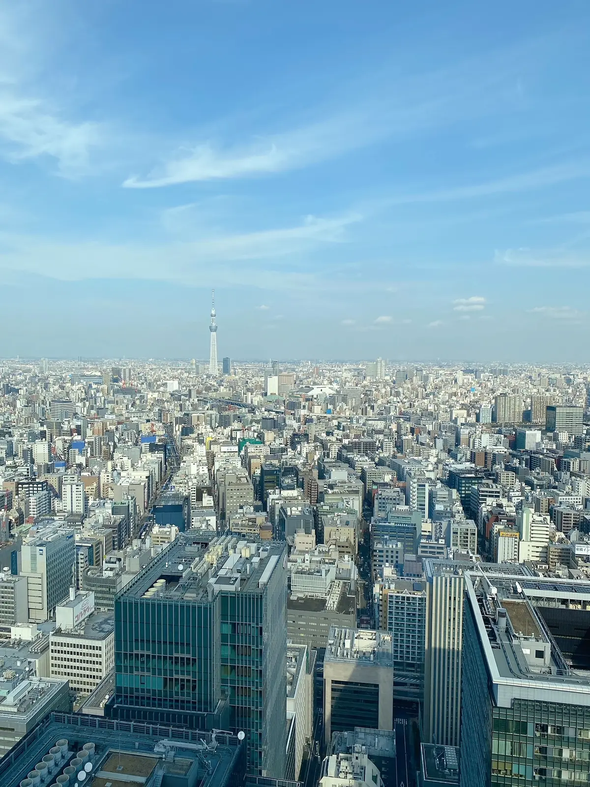 マンダリン オリエンタル東京 「苺のアフの画像_9