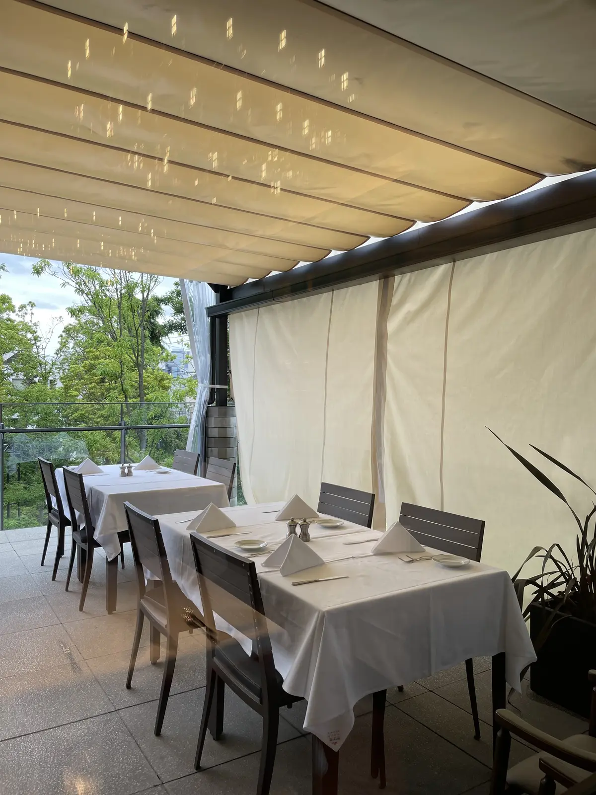 ゆるパンツで2022年日本上陸の「イル・の画像_2