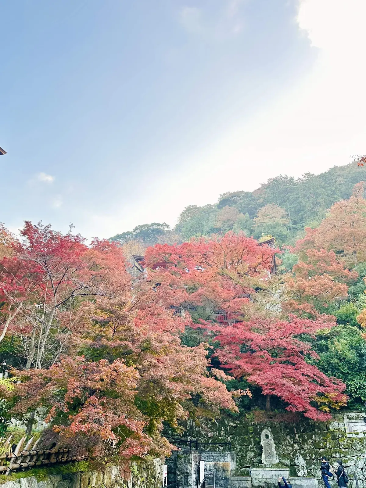 ずっと眺めていたくなる♡美しい京都紅葉2の画像_4