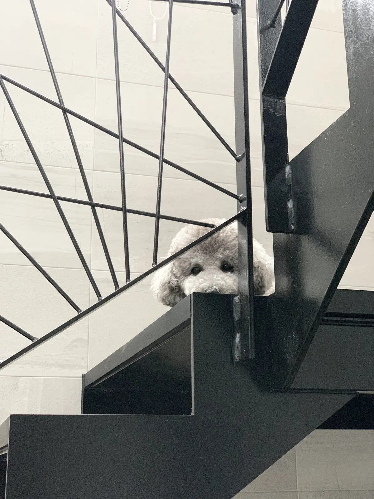 梅雨を味方に!家を居心地良く、快適に整えの画像_4