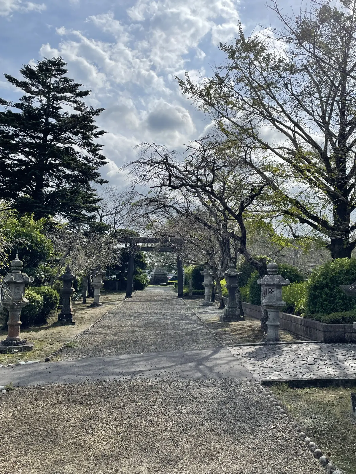 弾丸１泊、新幹線さくらで行く、鹿児島旅編の画像_36