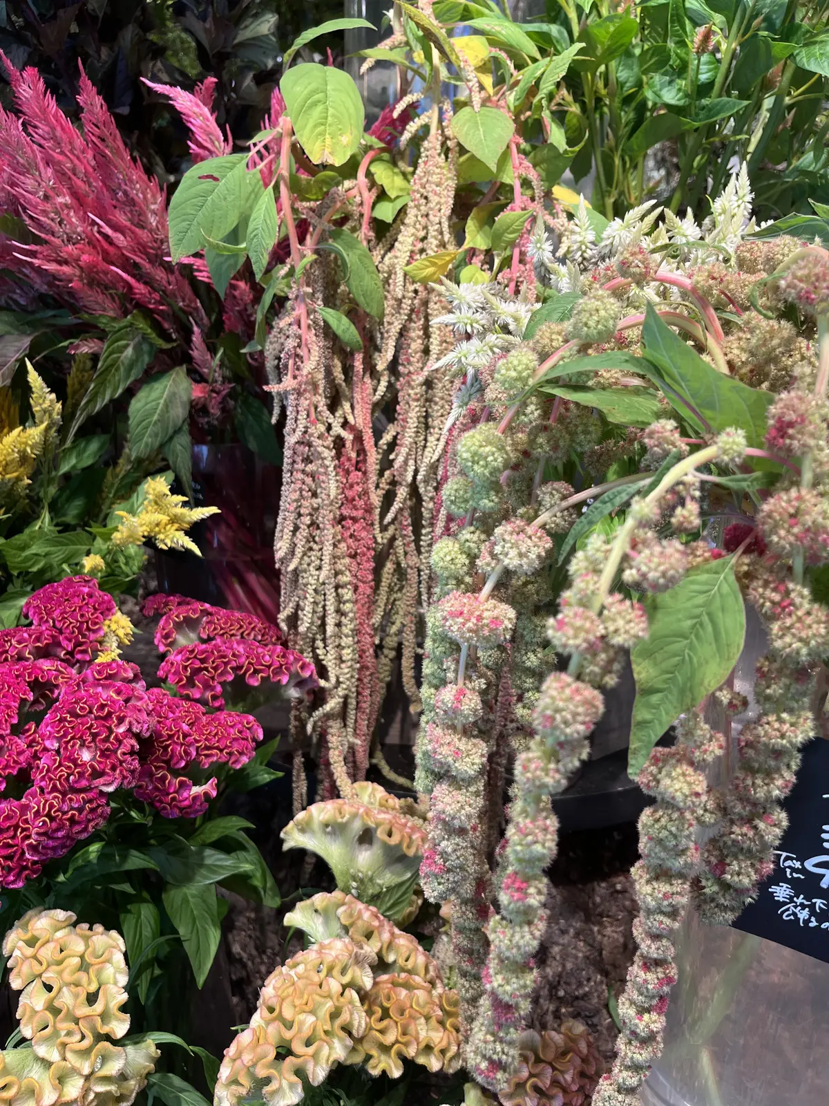 久々の花活♪秋色のお花の中で〝花屋で写真の画像_13