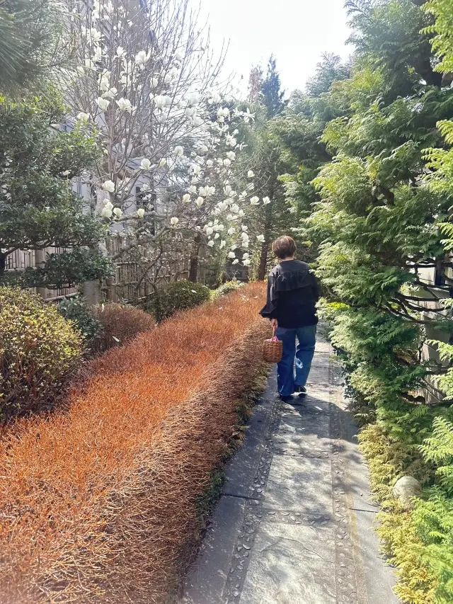 ユニクロネイビートップスで台湾茶を楽しみの画像_2