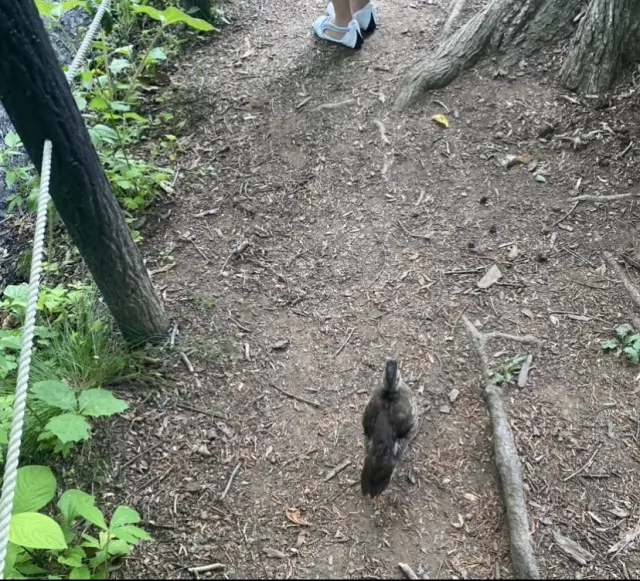 自然の中で、のんびりと過ごすことの贅沢✨の画像_3