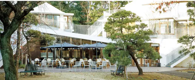 ロワゾー ドゥ フランス