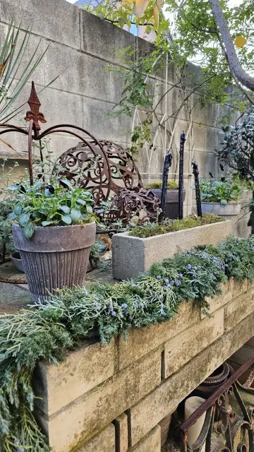 パンジーの寄せ植えリース作りの画像_8