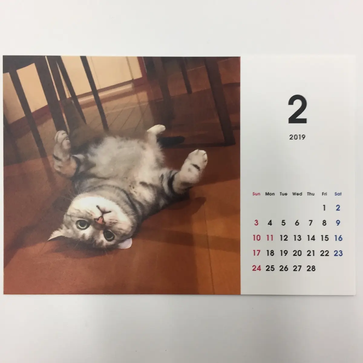 うちの子グッズの画像_1