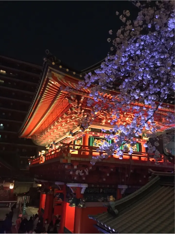 穴場　江戸総鎮守　期間限定