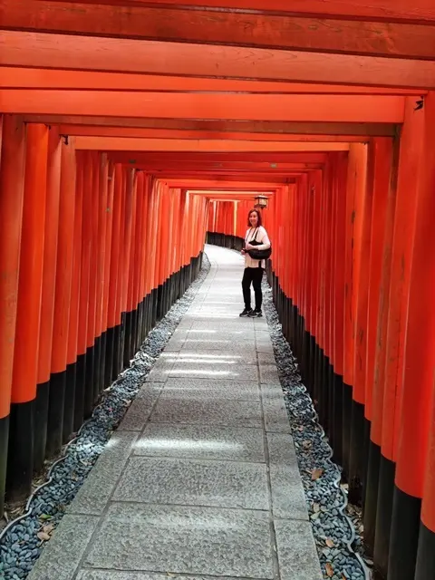 伏見稲荷大社の千本鳥居