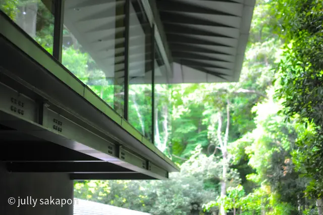 【番外編】雨上がりの参拝@明治神宮の画像_7