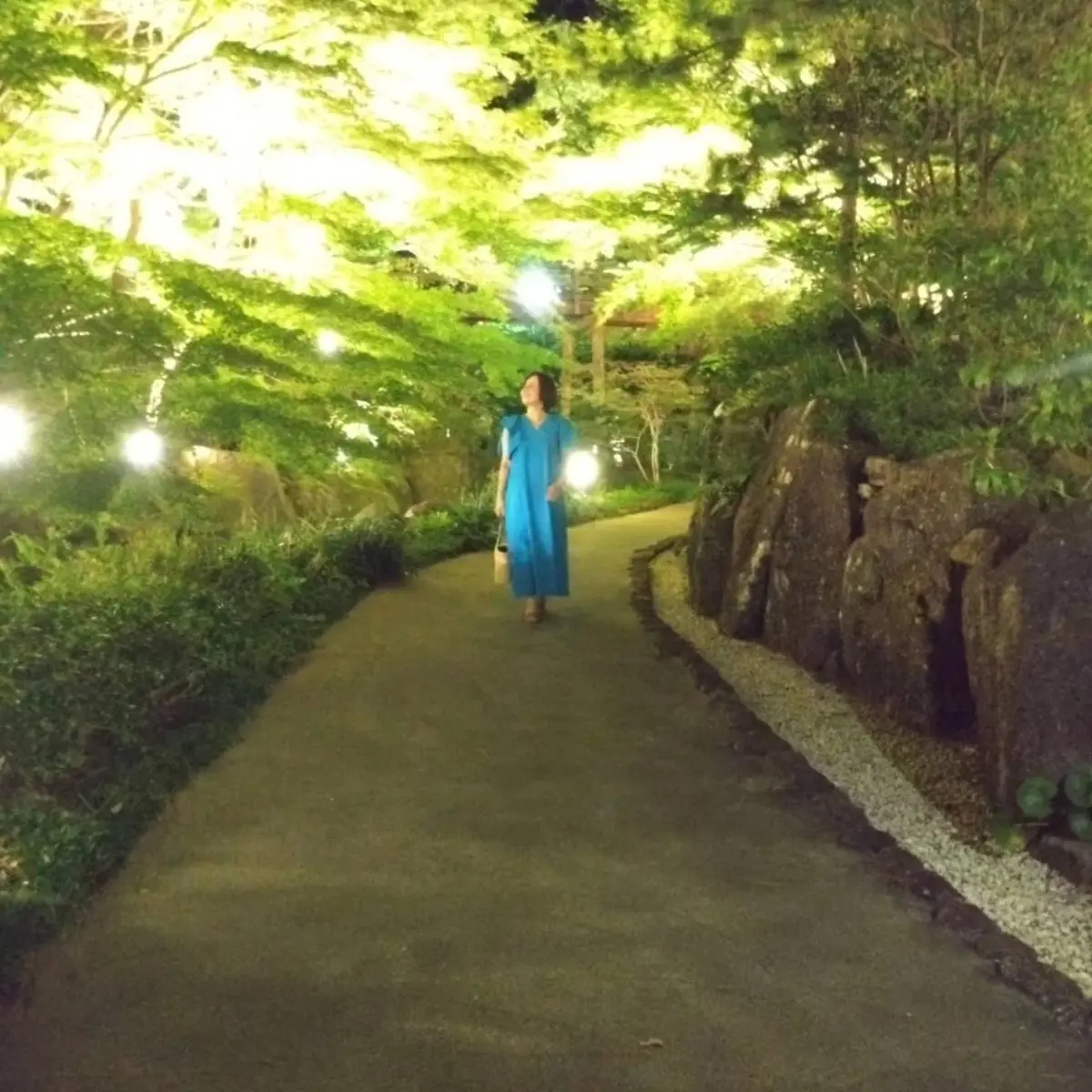 徳川園の昼と夜 2023の画像_7