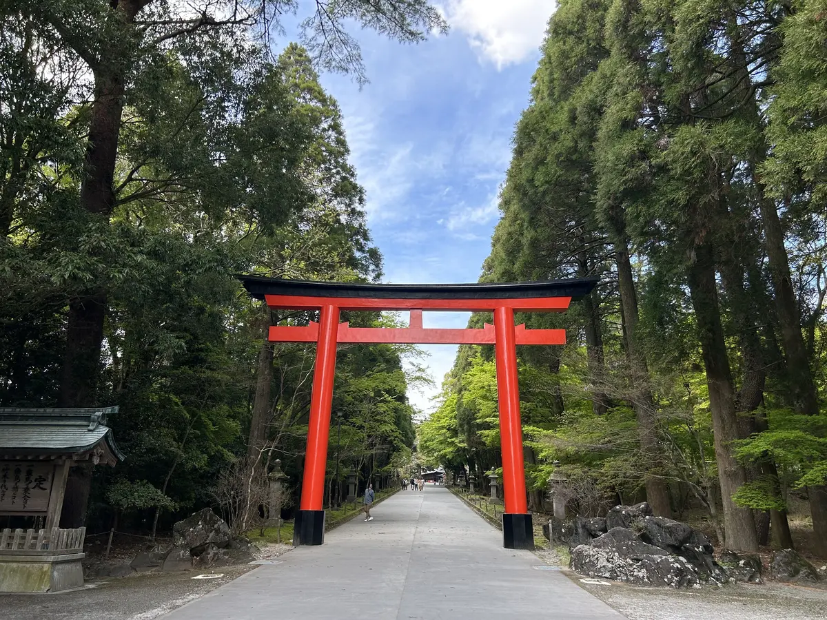 霧島温泉で束の間の非日常をの画像_8