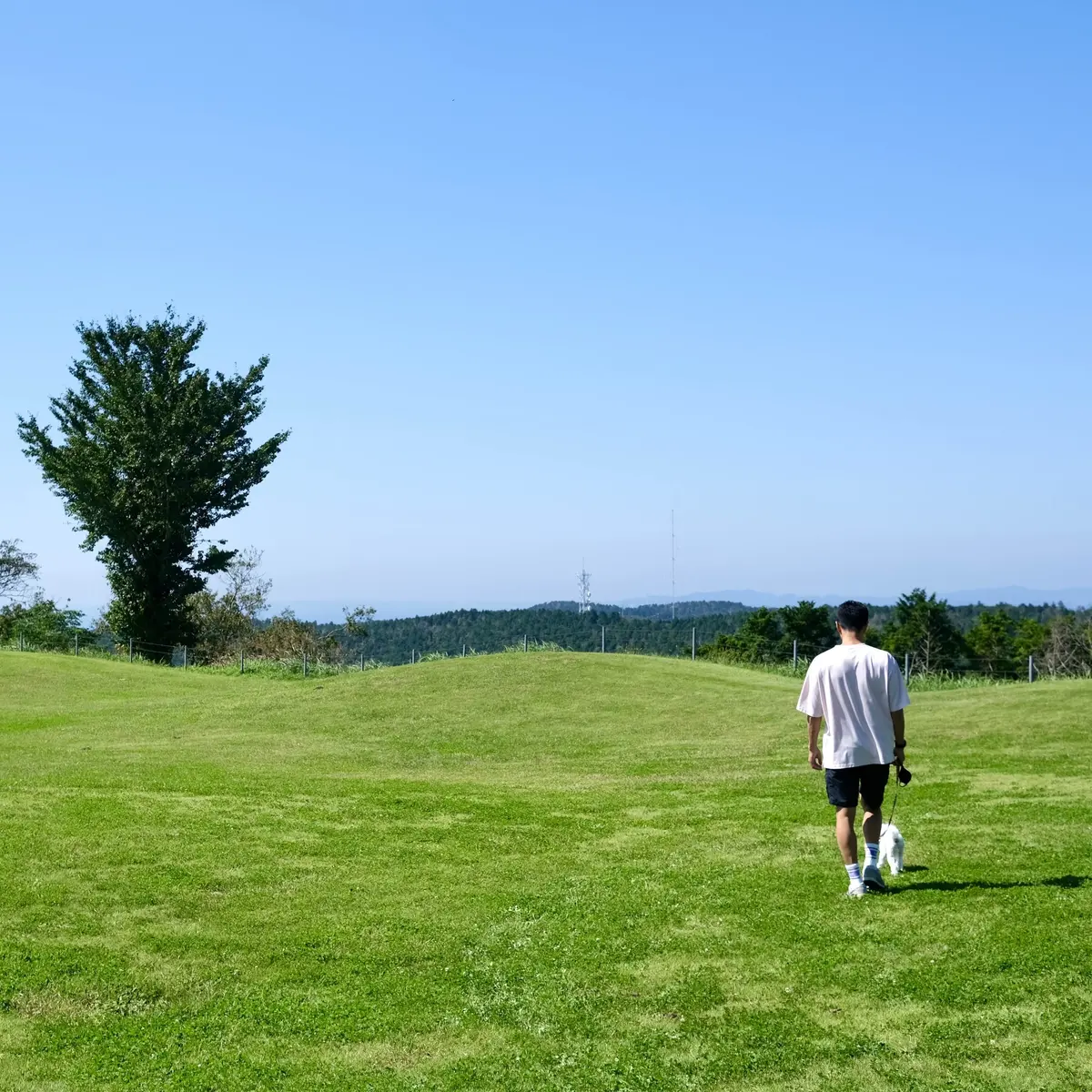 千葉県の「マザー牧場」内　芝生の広場