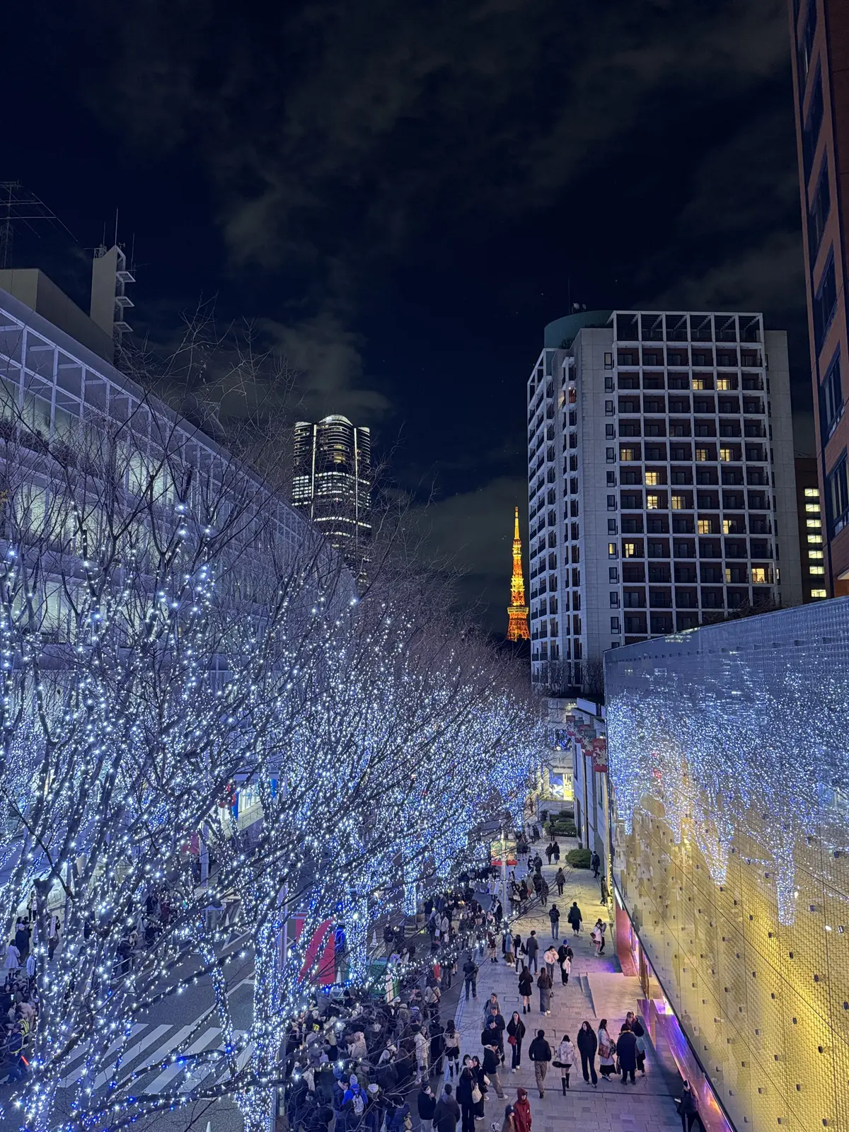 この冬見たい、心に残る東京イルミネーショの画像_2