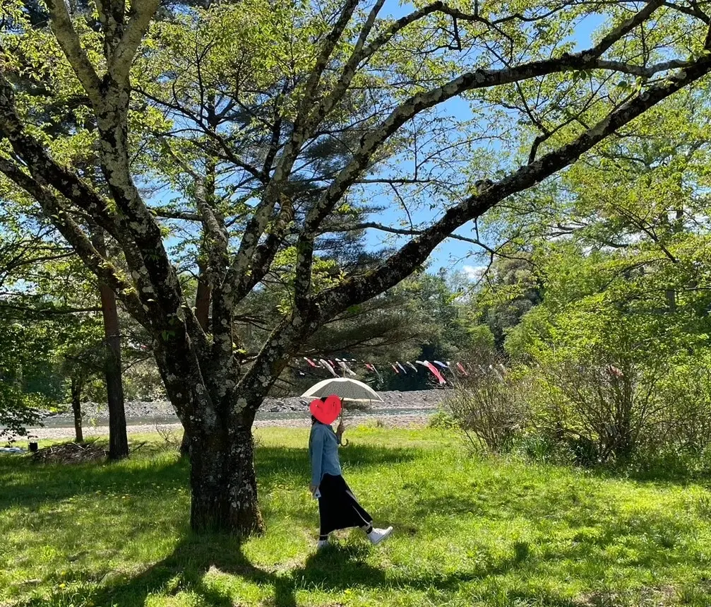 雫石川園地　鯉のぼり