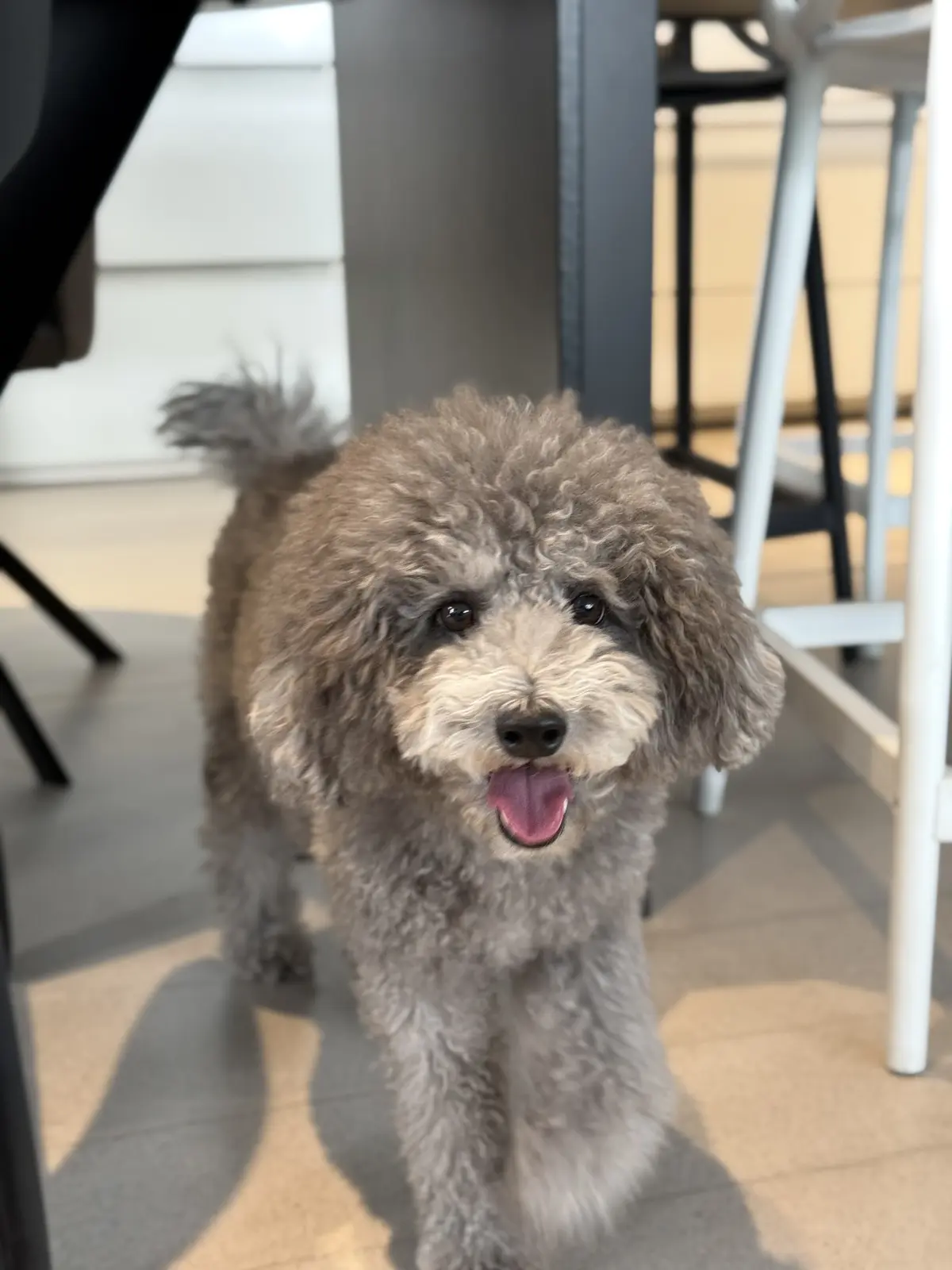 美味しすぎる韓国料理と最高のおもてなしにの画像_1