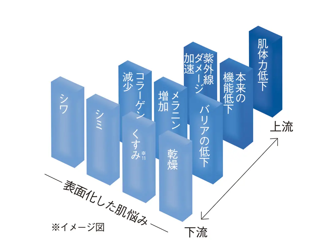 肌悩みのイメージ図